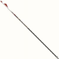 Easton 019330 Bloodline Arrow 2in. Vane (6-Pack); Increased penetration of a smaller diameter shaft, and the increased speed of lightweight carbon; Factory crested, Pre-installed red H Nocks, HP inserts included, High-strength carbon nanotube N-FUSED fibers; Straightness +- .003 inches; Size 400; Weight 7.7 gr; UPC 723560193301 (01-9330 019-330 0193-30 19330) 