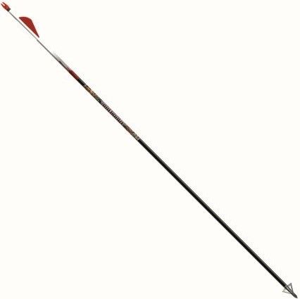 Easton 019330 Bloodline Arrow 2in. Vane (6-Pack); Increased penetration of a smaller diameter shaft, and the increased speed of lightweight carbon; Factory crested, Pre-installed red H Nocks, HP inserts included, High-strength carbon nanotube N-FUSED fibers; Straightness +- .003 inches; Size 400; Weight 7.7 gr; UPC 723560193301 (01-9330 019-330 0193-30 19330)