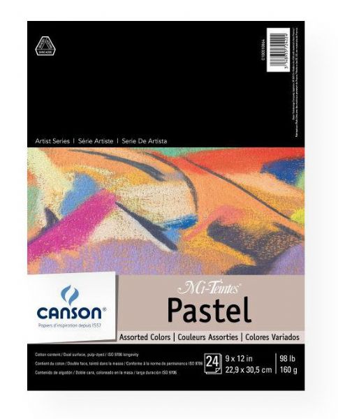 Canson 100510864 Mi-Teintes-Artist Series 9
