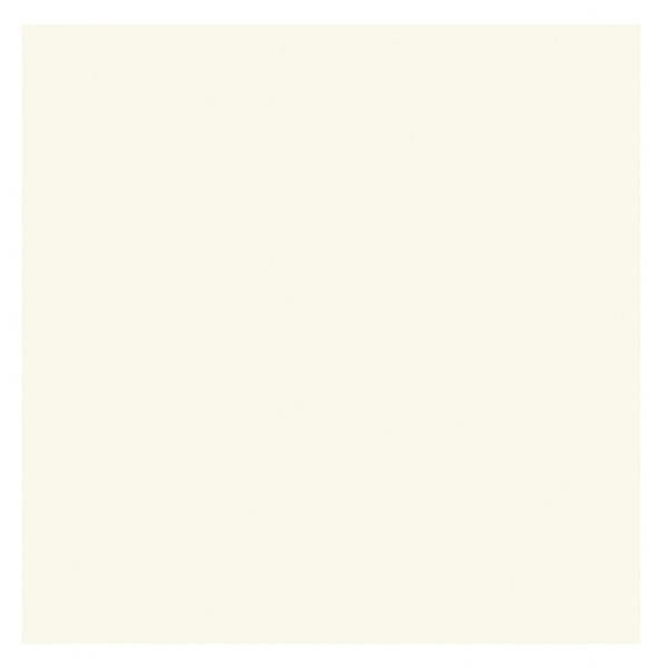 Strathmore 105-12 Palm Beach/Plain Edge Creative Cards 20-Pack 5 x 6.875; These larger size cards can be used to design a greeting for any occasion from birthdays, holidays, and invitations to general correspondence; Cards are 80 lb cover and measure 5