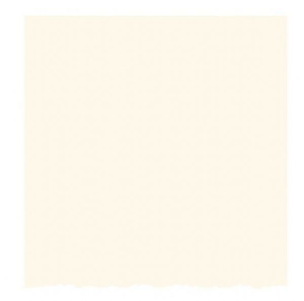 Strathmore 105-15 Ivory/Deckle Creative Cards 3.5 x 4.875; This small card is ideally suited for formal announcements, gift enclosures, invitations, change of address, and thank you notes; Cards are 80 lb cover and measure 3.5