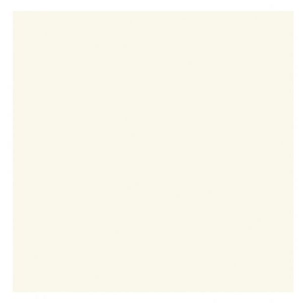 Strathmore 105-220 Palm Beach/Plain Edge Creative 5 x 6.875 Cards 50-Pack; These larger size cards can be used to design a greeting for any occasion from birthdays, holidays, and invitations to general correspondence; Cards are 80 lb cover and measure 5