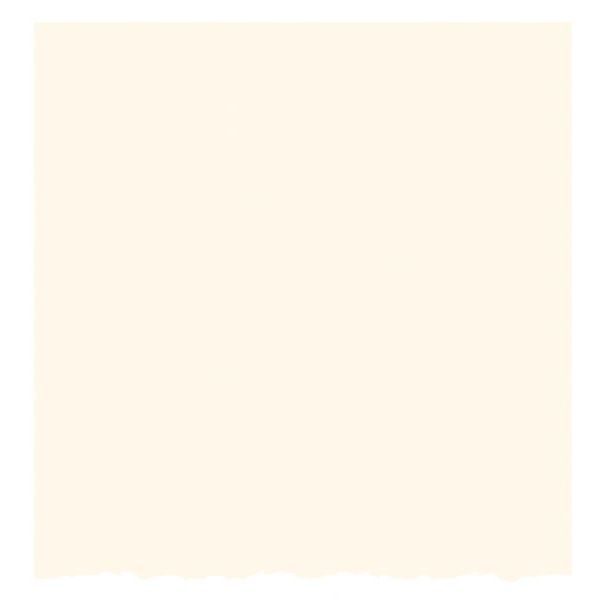 Strathmore 105-235 Ivory/Deckle Creative 5 x 6.875 Cards 50-Pack; These larger size cards can be used to design a greeting for any occasion from birthdays, holidays, and invitations to general correspondence; Cards are 80 lb cover and measure 5