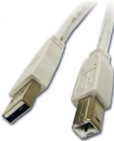Cables to Go 13172 USB cable, 1 x 4 pin USB Type A - male Connector on First End, 1 x 4 pin USB Type B - male Connector on Second End, USB Cable Type, 79" Cable Length (13172 13-172 13 172) 