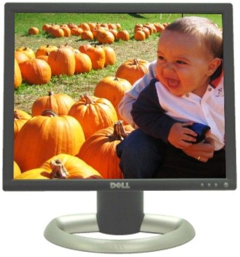 Dell 1703FP Refurbished 17-Inch Flat Panel Color Monitor, Optimal preset resolution 1280 x 1024 at 60 Hz, Pixel pitch 0.264 mm, Viewing angle +/- 85 (vertical/horizontal), Luminance output 250 CD/m2, Contrast ratio 600 to 1, Response Time 25ms typical (1703-FP 1703F 1703 1703FP-B 1703FP-R)