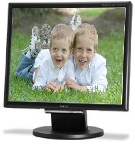 NEC 1940CX-BK 19-Inch MultiSync 1940CX LCD Monitor - Black, Max. Resolution 1280 x 1024, Brightness 270 cd/m2 (typical), Contrast Ratio 550:1 (typical) (1940CXBK 1940CX BK 1940CX 1940-CX 194-0CX)