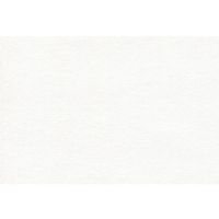 Canson 400024816 Roll  48" x 10yd; Traditional cream color; works well with pencil, color pencil, charcoal, pen and ink, and pastels; Suitable for final drawings; Medium texture; 90 lb/147g; Acid-free; 48" x 10yd roll; Shipping Weight 0.70 lb; Shipping Dimensions 48.00 x 5.00 x 5.00 inches; EAN 3148950046802 (CANSON400024816 CANSON-400024816 CANSON/400024816 DRAWING SKETCHING) 