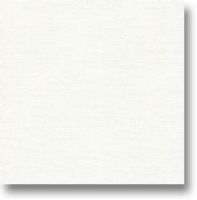 Canson 400024924 Foundation Series Canvas Paper, 48" x 5 yds Roll; Bleed-proof, canvas-like textured paper; Ready for use with oil or Acrylic paint without the need to prime or Prepare the surface; 136lb/290G acid free paper; 48" x 5yd roll; Dimensions 48" x 5" x 5"; Weight 25 lbs; EAN 3148950047823 (CANSON400024924 CANSON 400024924 C400024924) 