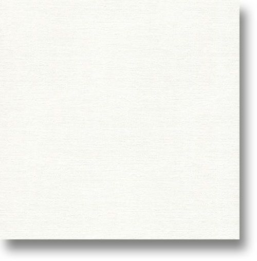 Canson 400024924 Foundation Series Canvas Paper, 48