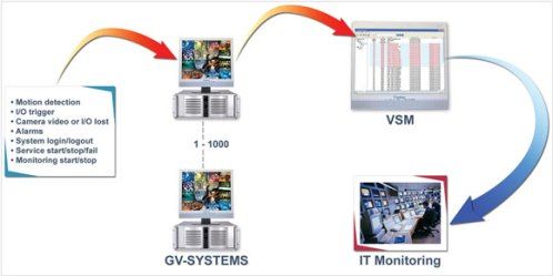 GeoVision 55-VSM00-000 Vital Sign Monitor Software, Create groups for GV‐System subscribers, View subscribers ID, address book, storage info, camera, and input status, Browse events for system service, connection, login/logout, motion detection, trigger, and alarm, Up to 1,000 GV‐System subscribers manageable (55VSM00000 55VSM00-000 55-VSM00000)
