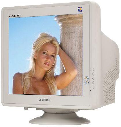 Samsung 793DF 17" SyncMaster CRT Monitor, 1280 x 1024  Resolution, Ivory (793-DF, 793 DF, 793)