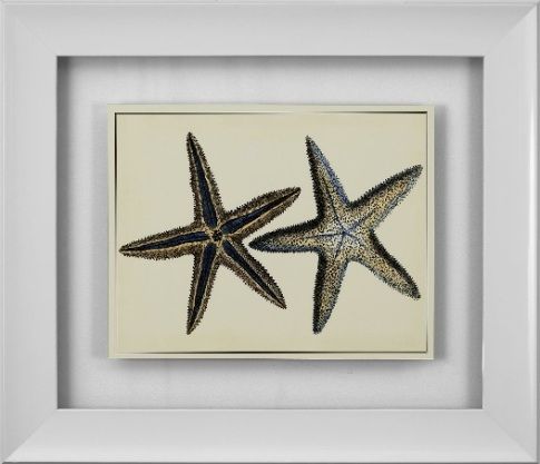 Basset Mirror 9900-145CEC Antique Blue Starfish I Framed Art, Tropical Style, 26
