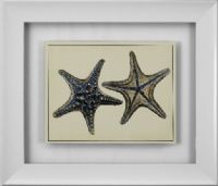Basset Mirror 9900-145DEC Antique Blue Starfish II Framed Art, Tropical Style, 26" W x 30" H, One of our tropical-styled framed art that will work in almost any decor, UPC 036155289625 (9900145DEC 9900-145DEC 9900 145DEC 9900145D 9900-145D 9900 145D) 
