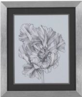 Bassett Mirror 9900-183AEC Model 9900-183A Thoroughly Modern Silvery Blue Tulips I Artwork, Nature unfolds in this dramatic set of four pencil sketches, Beautifully framed in silver with a black matte, Dimensions 23" x 27", Weight 8 pounds, UPC 036155296029 (9900183AEC 9900 183AEC 9900-183A-EC 9900183A)   