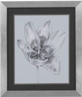 Bassett Mirror 9900-183BEC Model 9900-183B Thoroughly Modern Silvery Blue Tulips II Artwork, Nature unfolds in this dramatic set of four pencil sketches, Beautifully framed in silver with a black matte, Dimensions 23" x 27", Weight 8 pounds, UPC 036155296036 (9900183BEC 9900 183BEC 9900-183B-EC 9900183B)   