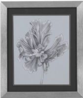 Bassett Mirror 9900-183CEC Model 9900-183C Thoroughly Modern Silvery Blue Tulips III Artwork, Nature unfolds in this dramatic set of four pencil sketches, Beautifully framed in silver with a black matte, Dimensions 23" x 27", Weight 8 pounds, UPC 036155296043 (9900183CEC 9900 183CEC 9900-183C-EC 9900183C)   