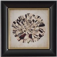 Bassett Mirror 9900-301EEC Model 9900-301E Old World Pop Floral V Artwork, Graceful blossoms on a parchment background are framed in handsome black frames with a gold leaf accent, Dimensions 22" x 22", Weight 9 pounds, UPC 036155308685 (9900301EEC 9900 301EEC 9900-301E-EC 9900301E)   