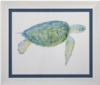 Bassett Mirror 9900-397AEC Model 9900-397A Pan Pacific Tranquil Sea Turtle I Artwork, Dimensions 40" x 34", Weight 17 pounds, UPC 036155317434 (9900397AEC 9900 397AEC 9900-397A-EC 9900397A)   