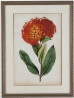 Bassett Mirror 9900-467BEC Model 9900-467B Old World Tangerine Floral II Artwork, Dimensions 24" x 32", Weight 9 pounds, UPC 036155326177 (9900467BEC 9900 467BEC 9900-467B-EC 9900467B)   