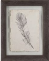 Bassett Mirror 9900-599AEC Model 9900-599A Belgian Luxe Feather Sketch I Artwork, Dimensions 23" x 29", Weight 14 pounds, UPC 036155332802 (9900599AEC 9900 599AEC 9900-599A-EC 9900599A)   