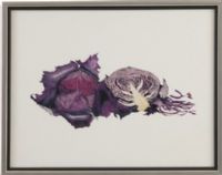 Bassett Mirror 9900-894BEC Model 9900-894B Thoroughly Modern Watercolor Purple Cabbage Artwork, Dimensions 24" x 31", Weight 12 pounds (9900894BEC 9900 894BEC 9900-894B-EC 9900894B)   