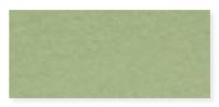 Canson C100510146 16" x 20" Art Board Light Green; Designed to hold substantial amounts of pigment, these are the ultimate foundation for pastel, charcoal, or conté crayon; Textured surface on one side and smooth surface on the other, excellent for pencil and pastel pigments and layering of colors; EAN: 3148955703465 (ALVINCANSON ALVIN-CANSON ALVINC100510146 ALVIN-C100510146 ALVINARTBOARD ALVIN-ARTBOARD) 