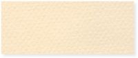 Canson C100511302 8.5" x 11" Pastel Sheet Pad Cream; Incredible lightfast colors and heavy; Rough texture make this the perfect archival foundation for pastel and pencil; EAN 3148955736371 (CANSONC100511302 CANSON-C100511302 CANSONC100511302ALVIN CANSONC100511302-ALVIN C100511302-ALVIN C100511302ALVIN) 
