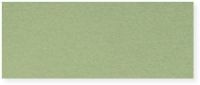 Canson C100511311 8.5" x 11" Pastel Sheet Pad Light Green; Incredible lightfast colors and heavy; Rough texture make this the perfect archival foundation for pastel and pencil; EAN 3148955736647 (CANSONC100511311 CANSON-C100511311 CANSONC100511311ALVIN CANSONC100511311-ALVIN C100511311-ALVIN C100511311ALVIN) 