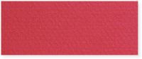 Canson C100511319 8.5" x 11" Pastel Sheet Pad Red; Incredible lightfast colors and heavy; Rough texture make this the perfect archival foundation for pastel and pencil; EAN 3148955736883 (CANSONC100511319 CANSON-C100511319 CANSONC100511319ALVIN CANSONC100511319-ALVIN C100511319-ALVIN C100511319ALVIN) 
