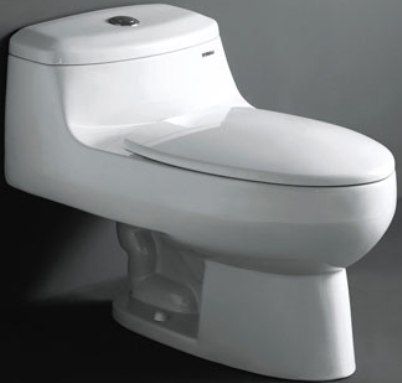 Ariel 1017 Eugenia Contemporary European Toilet with Dual Flush, 12