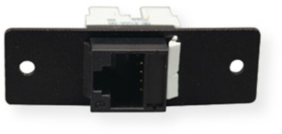 Wiremold AV9015BK CAT6 Jack Plate; Black;  For Data Applications; Single plate design; Screw down design ensures a secure connection that cannot be easily pulled out or disconnected while in use; Designed to work in all Wiremold A/V compatible pathways; UPC 786776177879 (AV9015BK AV-9015BK AV9015-BK MRTC AV9015BKWIREMOLD AV9015BK-WIREMOLD))