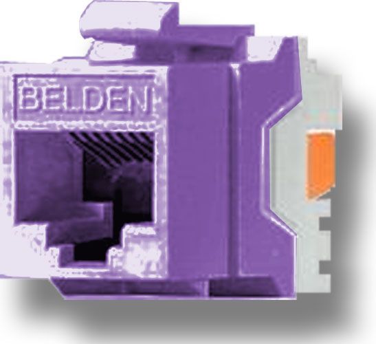 Belden Wire and Cable AX101316 TIA 606 CAT5e Modular Jack, 1 x RJ-45 Female Network, Purple Color, IDC termination, A/B universal wiring, Copper Alloy Contact Material, Gold Contact Plating, Female, Plastic Housing Material, Weight 0.024 Lbs, UPC N/A (BELDENAX101316 BELDEN AX101316 AX 101316 BELDEN-AX101316 AX-101316)