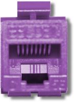 Belden AX104187 CAT5e Modular Jack, RJ45 Plug, Keyconnect, UTP, Purple; T568A/B Wiring Scheme; 1000 V RMS at 60 Hz for 1 minute Dielectric Strength; 1.500 A Current Rating; 500 M-Ohm Minimum Insulation Resistance; 20 m-Ohm Maximun Contact Resistance; 2.5 m-Ohm Termination Resistance; 22 to 24 AWG IDC Wire Gauge; Weight 0.024 Lbs; UPC N/A (BELDENAX104187 BELDEN AX104187 AX 104187 BELDEN-AX104187 AX-104187) 