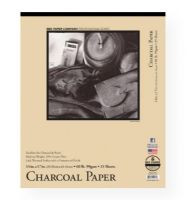 Bee Paper B1021T25-1417 Charcoal Paper Pad 14" x 17"; White, laid texture surface paper, with a pronounced finish; Excellent for use with charcoal and pastels; 60 lb; (99 gsm), 25% cotton fiber; 11" x 14"; Tape bound; 25-sheets; Shipping Weight 1.3 lb; Shipping Dimensions 17.00 x 14.00 x 0.25 in; UPC 718224022479 (BEEPAPERB1021T251417 BEEPAPER-B1021T251417 BEE-PAPER-B1021T25-1417 BEE/PAPER/B1021T251417 B1021T251417 DRAWING) 