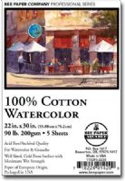 Bee Paper B1153P25-2230 Watercolor Sheet 100 Percent Cotton, 22" x 30", 140 lbs, 25 Sheets Per Pack; 100 percent cotton, neutral pH, cold pressed watercolor sheets are an excellent value; Quality is equal to imported sheets; UPC 718224160034 (BEEPAPERB1153P252230 BEEPAPER B1153P252230 BEE PAPER B1153P25 2230 BEEPAPER-B1153P252230 B1153P25-2230) 