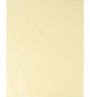Bee Paper B525P100-912 Extra Fine Trace Sheets 9" x 12"; Bleed Proof Extra fine trace is a 25 lb (42 gsm) premium sketch and tracing overlay paper with clear transparency and excellent erasing qualities; For use with pencil, marker, pen and ink; 9" x 12"; 100-sheets; Shipping Weight 0.68 lb; Shipping Dimensions 11.95 x 9.1 x 0.95 in; UPC 718224051011 (BEEPAPERB525P100912 BEEPAPER-B525P100912 BEE-PAPER-B525P100-912 BEE-PAPER-B525P100912 B525P100912 ARTWORK) 