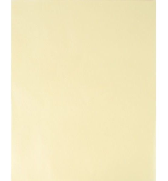Bee Paper B525P100-912 Extra Fine Trace Sheets 9