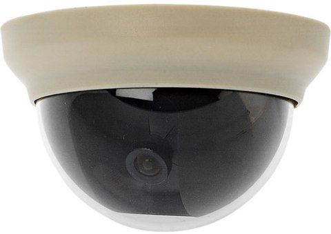 Bolide Technology Group BC2009/WM2 Mini Wall Mount Color Dome Camera -100mm Diameter, NTSC Signal System, 1/4