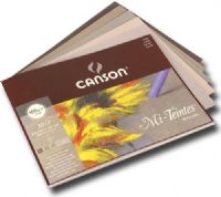 Canson C100510025 Mi-Teintes, Touch Sanded Pastel Paper Display Assortment; This unique surface texture allows for many creative possibilities and layering of pigments; A great palette of cool blues, warm earth and grey tones; Pastels, charcoals, crayons, and acrylic perform beautifully; UPC 3148955700280 (CANSONC100510025 CANSON C100510025 C 100510025 CANSON-C100510025 C-100510025) 