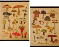 CBK Style 112701 Mushroom Print Wall Art, Mushroom Print Wall Art, Set of 2, UPC 738449354131 (112701 CBK112701 CBK-112701 CBK 112701) 