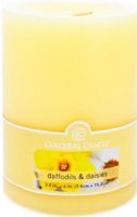 Colonial Candle CCFT34.3082 Daffodils & Daisies Scent, 3" by 4" Smooth Pillar, Burns for up to 55 hours, UPC 048019641821 (CCFT34.3082 CCFT343082 CCFT34-3082 CCFT34 3082)   