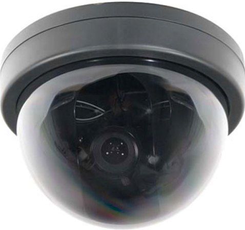 ARM Electronics CX580MD2VAIDN Color Exview Varifocal Day/Night Mini Dome Camera, NTSC Signal System, 1/3