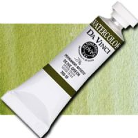 Da Vinci 260-2F Watercolor Paint, 15ml, Olive Green; All Da Vinci watercolors have been reformulated with improved rewetting properties and are now the most pigmented watercolor in the world; Expect high tinting strength, maximum light-fastness, very vibrant colors, and an unbelievable value; Transparency rating: T=transparent, ST=semitransparent, O=opaque, SO=semi-opaque; UPC 643822260254 (DA VINCI 260-2F 2602F DAVINCI2602F ALVIN 15ml OLIVE GREEN) 