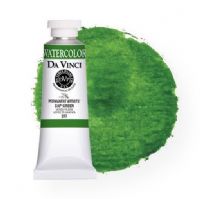 Da Vinci DAV277 Watercolor Paint 37ml Sap Green; All Da Vinci watercolors have been reformulated with improved rewetting properties and are now the most pigmented watercolor in the world; Expect high tinting strength, maximum light-fastness, very vibrant colors, and an unbelievable value; Transparency rating: T=transparent, ST=semitransparent, O=opaque, SO=semi-opaque; UPC 643822277375 (DAVINCIDAV277 DAVINCI-DAV277 PAINTING) 