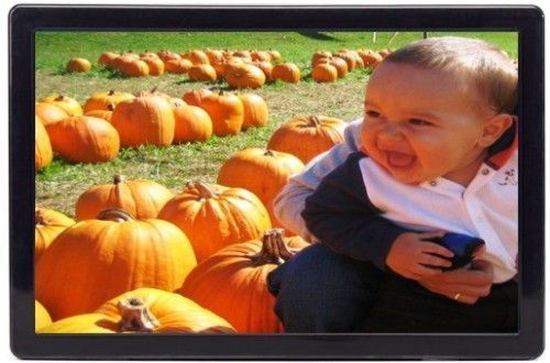 Elo Touchsystems E023837 Model 2239L 22-Inch LCD Open-Frame Touchmonitor, Black, Native (optimal) resolution 1680 x 1050 at 75 Hz, Aspect ratio 16 x 10, Surface capacitive 249 nits, Response time 5 msec, Dual serial/USB Interface, Antiglare Surface Treatment, Integrated precision minibezel with watertight 0.5 mm seal (E02-3837 E02 3837 2239-L 2239)