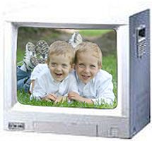 Elmo ECM-1402 Multi-Input, Multi-Format, CCTV Color Monitors 14 in. CRT, 14