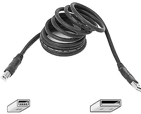 Belkin F3U133-10 USB Device Cable, Compatibility USB printer, Scanner, External hard drive, Fast, 12 Mbits/sec transmission speed, High performance 20-gauge power wires, Works with USB 2.0, HotPluggable, Fully compatible with the PC, Supports up to 127 devices on a daisy-chain configuration (F3U13310 F3U133 10 F3U133 10 F3U133-1 F3U133)