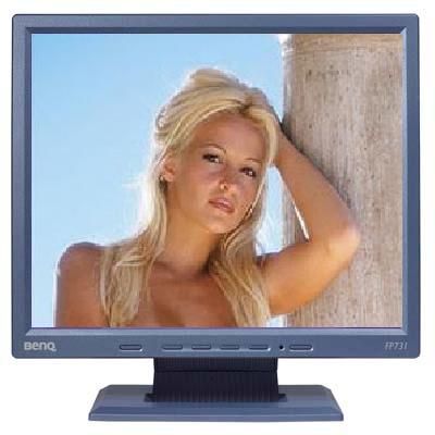 BenQ FP731 Black 17" LCD Monitor, 1280x1024 Resolution, 450:1 Contrast Ratio (FP-731, FP 731, 731)