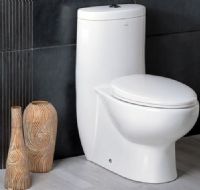 Fresca FTL2309 Delphinus One-Piece Dual Flush Toilet with Soft Close Seat, Dual flush (0.8gpf / 1.6gpf), Elongated Bowl, Trap Distance 12" (Drain with Trap Included), High Quality Stain Resistant Polish with Fully Glazed Trapway, UPC Approved, Dimensions 28.5"L x 14.6"W x 30"H (FTL-2309 FTL 2309 FT-L2309) 