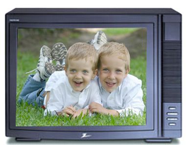 LG Zenith H20H52DT Hospital Grade Color TV, 20